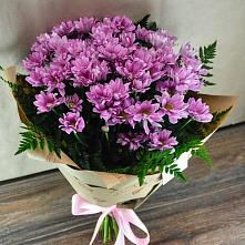Букет цветов из:  Хризантемы #REPLACE_PRED# Паниково