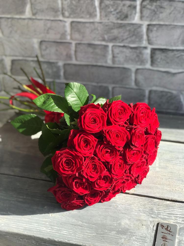 Букет Красные розы Фридом в Паниково