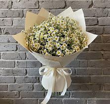 Букет цветов из:  Ромашки в Паниково