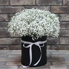 Цветочная композиция из Гипсофила в шляпной коробке в Паниково