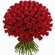 Букет Красные розы Чери Лав в Паниково